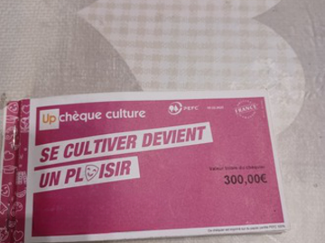 Vente: Chèques Culture Up (250€)