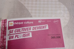 Vente: Chèques Culture Up (250€)