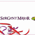 Vente: Carte cadeau Sergent Major (100€)