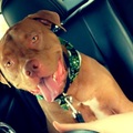   : Remi 