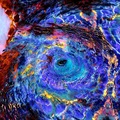 Sell Artworks: "Einstein's Eye"