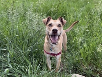  : Lyla