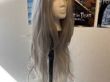 Selling with online payment: Long grey wig