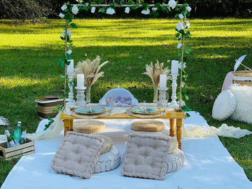 Offering without online payment (No Fees): Luxury Picnic Service