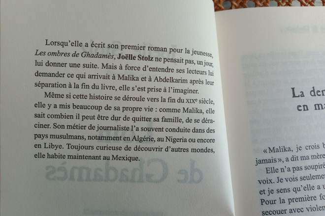Loin de Ghadamès - Joëlle Stolz - Bayard jeunesse