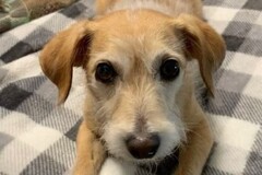   : Max