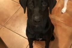   : Luna