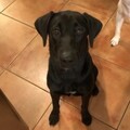   : Luna