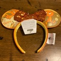 Selling with online payment: Orange Bird Minnie Ears - Limited Edition