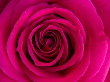 Wellness Session Packages: Transform Heartbreak into Healthy Love with Sophia 