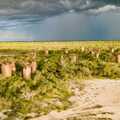 Nature & Wildlife: Discover Andrenalamaro Baobab and Forest | Andavadoaka