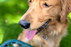   : Meeka