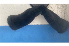 Venta: Muserola negra borreguillo de Tienda Animal
