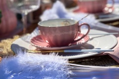 Offering with online payment: Tea Party luxury picnic 