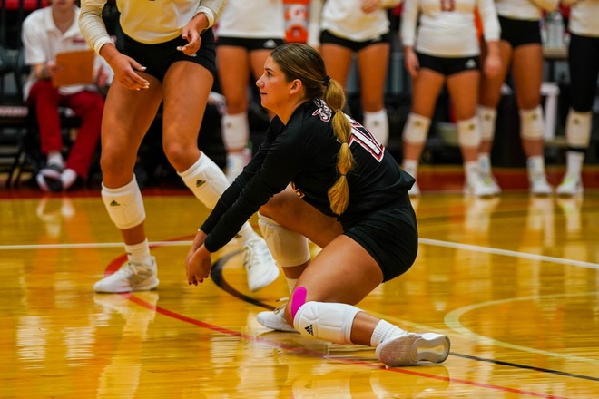 Volleyball Individual/Group Lessons 