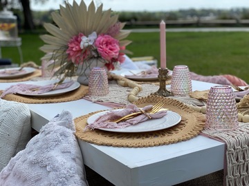 Offering with online payment: Luxury Picnic (With Food Included) in Old Town Bluffton