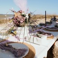 Offering with online payment: Luxury Beach Picnic (With Food) Hilton Head Island, Sc