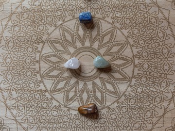 Wellness Session Single: Distance Reiki with Dr. Samm