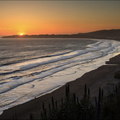 Daily Rentals: Stinson Beach CA, Parking Spot Across From The Library