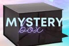 Bulk Lots: Mystery Toy Lot of 10 Sellable items.