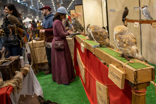 Piacenza Reenactment Fair 2025 - I