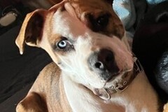  : Malachi