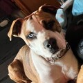  : Malachi