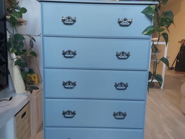 Individual Seller: French Blue Dresser 