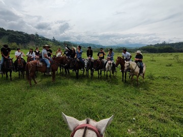 Servicios: Cabalgata reserva natural la María 