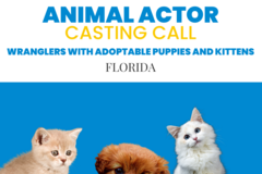 Casting call: Wranglers with adoptable kittens and puppies for conference in FL