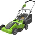 Renting out with online payment: 16-inch corded mower