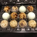 Selling with In-person Payment: Quail Eggs