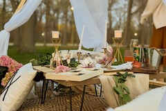 Offering without online payment (No Fees): Luxury Picnic and Paddle Boarding Experience