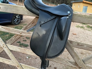 Venta: Zaldi royal doma profunda 17’’