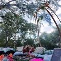 Offering with online payment: Intimate Lagoon 
