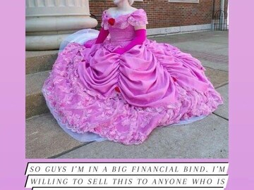 Selling with online payment: Pink Belle style ball gown