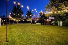 Selling: Festoon Lights 280m