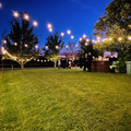 Selling: Festoon Lights 280m