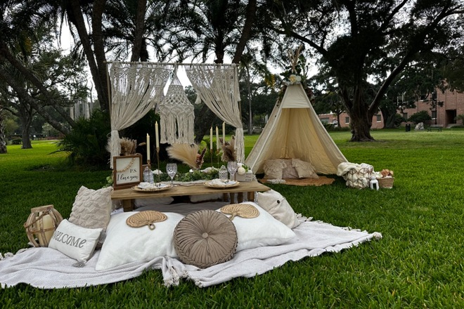 Boho Luxe Picnic for 2 in Tampa