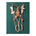  : sea washed bricks and pottery wall decoration on beautiful branch