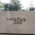 Daily Rentals: Chicago, Covered Parking Near Lincoln Park Zoo