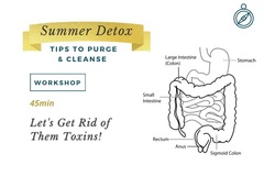 Services (Per Hour Pricing): Summer Detox