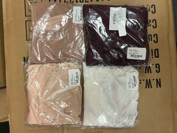 Buy Now: 100 Pc Wholesale Lot Assorted Women's Panties, New In Bags