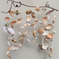  : sea shells windchime on a beautiful twirled branch