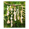  : windchime made with translucent shells on a beautiful branch