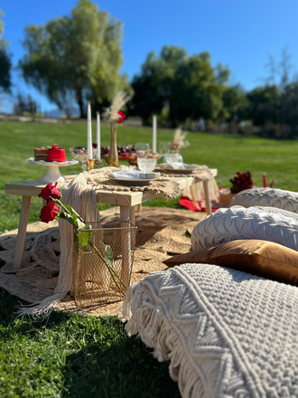 Luxury picnic for any kind of occasion
