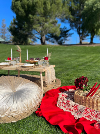 Luxury picnic for any kind of occasion