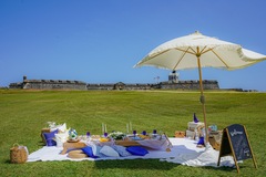 Offering without online payment (No Fees): Luxury Picnic