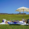 Offering without online payment (No Fees): Luxury Picnic