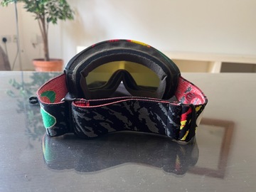 General outdoor: Oakley Canopy goggles